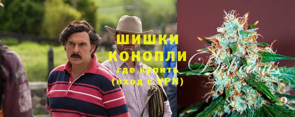 молекула духа Магас