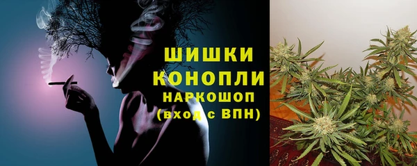 молекула духа Магас